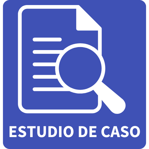 Estudio de caso Icon